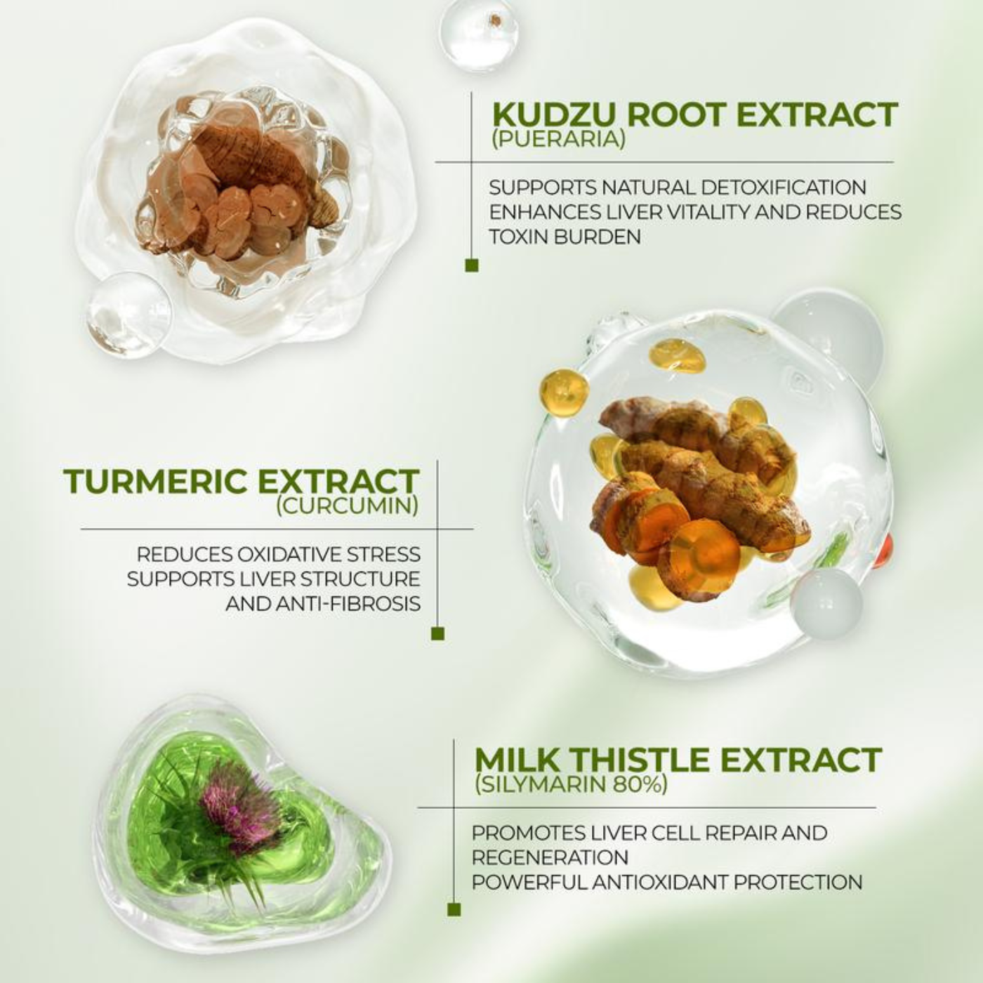 Milk Thistle - Liver Detox & Support [90 Capsules]
